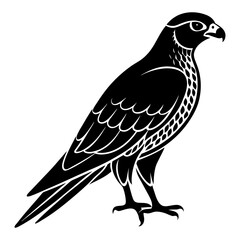 Falcon Silhouette vector illustration