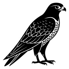 Falcon Silhouette vector illustration