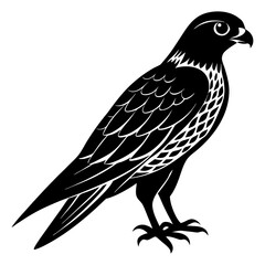 Falcon Silhouette vector illustration