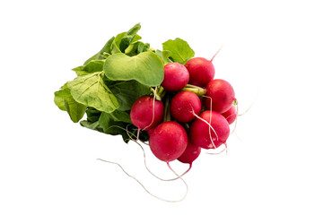 bunch of radishes isolated on transparent background