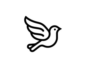 Bird Logo Design Vector Template