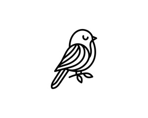 Bird Logo Design Vector Template