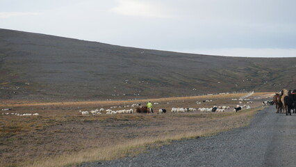 Islande, Highlands, route F-roads, 4x4, expédition, aventure, voyage, nature sauvage, paysage volcanique, désert noir, cendres volcaniques, piste isolée, hors-piste, exploration, solitude, vastitude, 