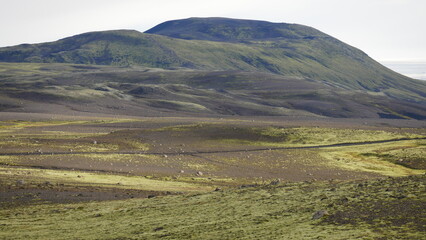 Vue aérienne panoramique de la chaîne de volcan Laki, désert de montagne de mousse, Islande
