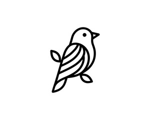 Bird Logo Design Vector Template