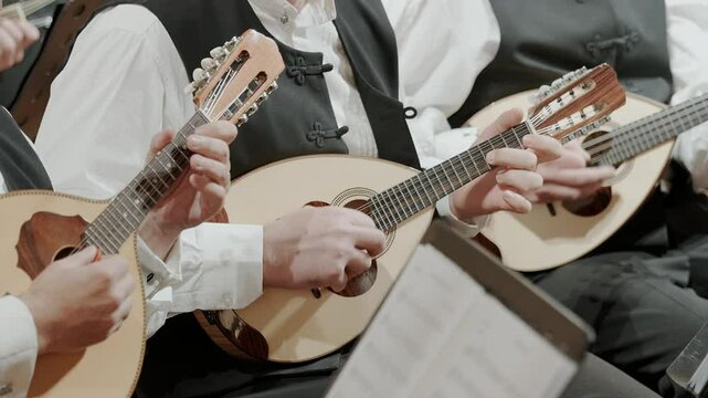 Musicians Playing Traditional Dalmatian Mandolins in Croatia During a Live Performance, Close-up