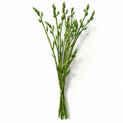 Obraz premium Freshly picked wild asparagus spears creating a vibrant and healthy culinary scene