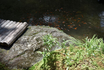 実光院　庭園の池　京都市左京区大原