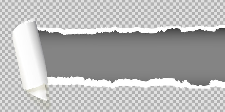 Torn paper roll background. Ripped page strip cut sheet rip edge reveal effect realistic scratch off rough hole in white cardboard banner curl scroll template vector illustration