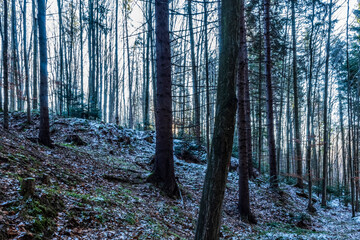 Fototapety na wymiar - Fototapeta24.pl