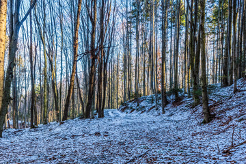 Fototapety na wymiar - Fototapeta24.pl