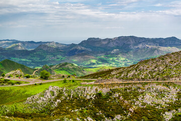 Fototapeta premium Asturias, a green paradise, on the way to Covadonga and its lakes
