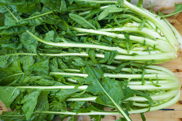 Heads of Puntarelle salad in vegetable container on vegetable market