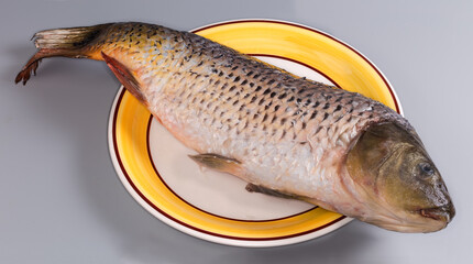 Big gutted grass carp cleaned from scales on large plate © An-T