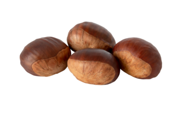 Chestnut fruits group closeup isolated transparent png