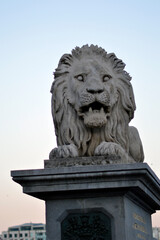 Chain Bridge in Budapest in daylight