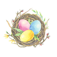 Watercolor bird’s nest with colored easter eggs on white background. Top view. Willow branch and forsythia decor. Festive hand drawn composition. Illustration perfect for greeting cards