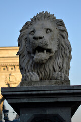 Chain Bridge in Budapest in daylight