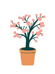 beautiful potted flowers blooming in spring
