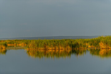 Golden Sunset Over Neusiedler See-Seewinkel National Park in Austria
