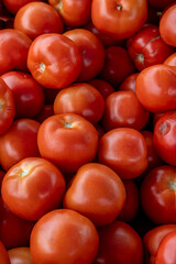 A full frame photograph of vibrant tomatoes for sale on a Portuguese market stall