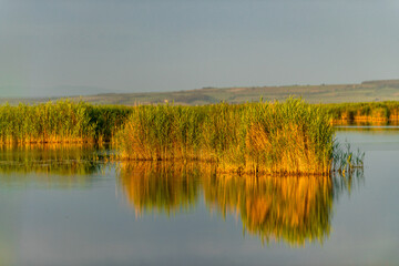 Golden Sunset Over Neusiedler See-Seewinkel National Park in Austria