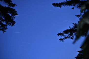 Parc Appalaches 24 Décembre Au 2 Janvier 2025 - 300 Mm 