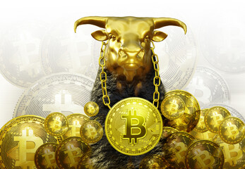 Crypto bitcoin coins with gold bull head and metallic chain