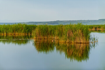 Scenic Wetlands and Sunset Sky at Neusiedler See National Park