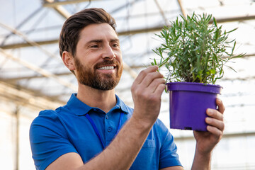 Smiling bearded young caucasian man with a potted plants in hands in a greenhouse