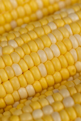 peeled corn cob with yellow and white seeds of different sizes and shades