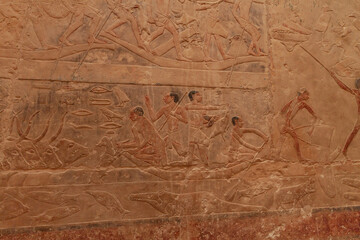 Egyptian hieroglyphs