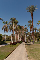 Fototapeta premium holidays in Egypt