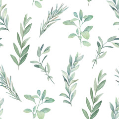Watercolor seamless pattern. Organic herbal print with eucalyptus branches. Greenery hand drawn illustration on white background.