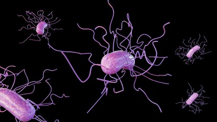 3d rendering of Bacillus subtilis bacterium with peritrichous flagella