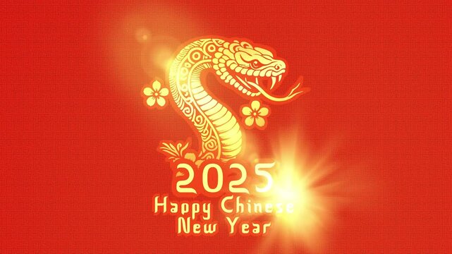 Happy Chinese new year 2025 animation template