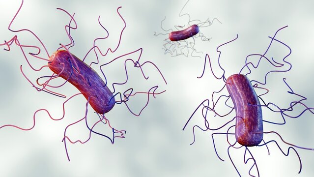 3d rendering of Bacillus subtilis bacterium with peritrichous flagella