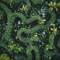 Beautiful green maze of plants perfect for nature-inspired outdoor decoration and relaxation