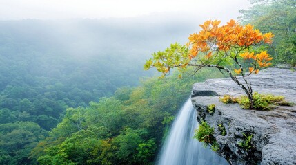 Obraz premium The deep rain forest jungle waterfall cascades down a lush green cliff, its crystalline waters shimmering in the dappled sunlight filtering through the dense canopy above