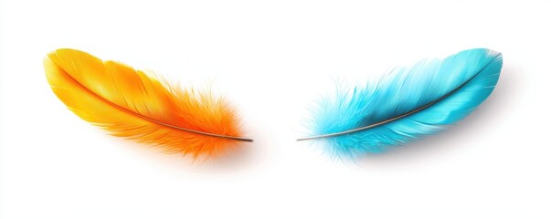 Obraz premium Vibrant Orange and Turquoise Feathers Close up Studio Shot on White Background