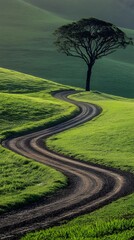 Naklejka premium A quiet rural farm road cutting through a lush, green field with a lone tree standing in the distance