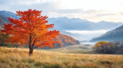 Fototapeta premium The beautiful fall foliage in Japan paints a vibrant mosaic of reds, oranges, and yellows across the landscape