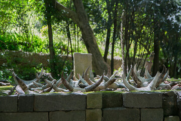 Malagasy tomb with zebu horns at the top