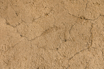 Exploring the natural texture and patterns of earthy soil in a sunlit outdoor setting