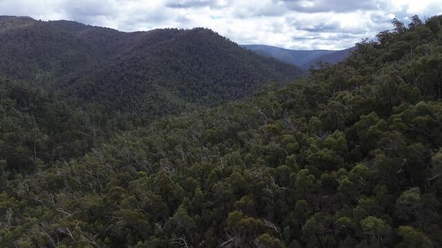 Aerial shot moving along mountain valley in Gold country Walhalla Auastralia.