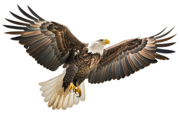 Obraz premium American Eagle Flag Patriotic 4th of July PNG