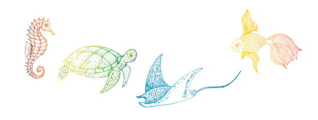 Vector seahorse, green sea turtle. Hand painted stingray. Graphic tropical clip art isolated on background. Underwater illustration. For designers, invitations, decoration, postcards, wrapping paper