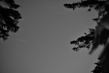 Parc Appalaches 24 Décembre Au 2 Janvier 2025 N&B