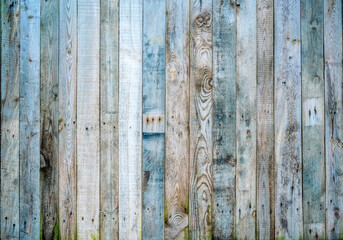 Weathered wooden planks. Old wooden texture timber background