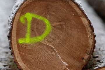 Tree Cross-Section Showing Central Spot Indicating Disease. Monitoring tree health for ecological balance. 
